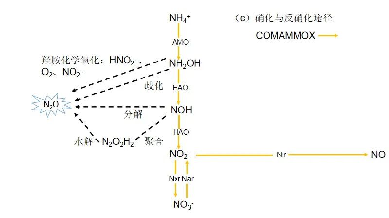 综述分析 | 污水处理过程N2O排放：过程机制与控制策略