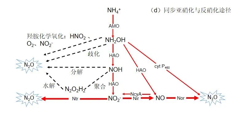 综述分析 | 污水处理过程N2O排放：过程机制与控制策略