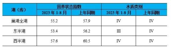 快来围观！安徽省生态环境厅公布2023年8月全省地表水环境质量分析