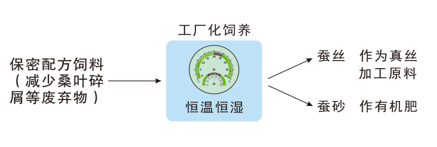 2024“无废之窗”丨嵊州市：全龄工业化养蚕 走出“无废”新“丝”路-环保卫士